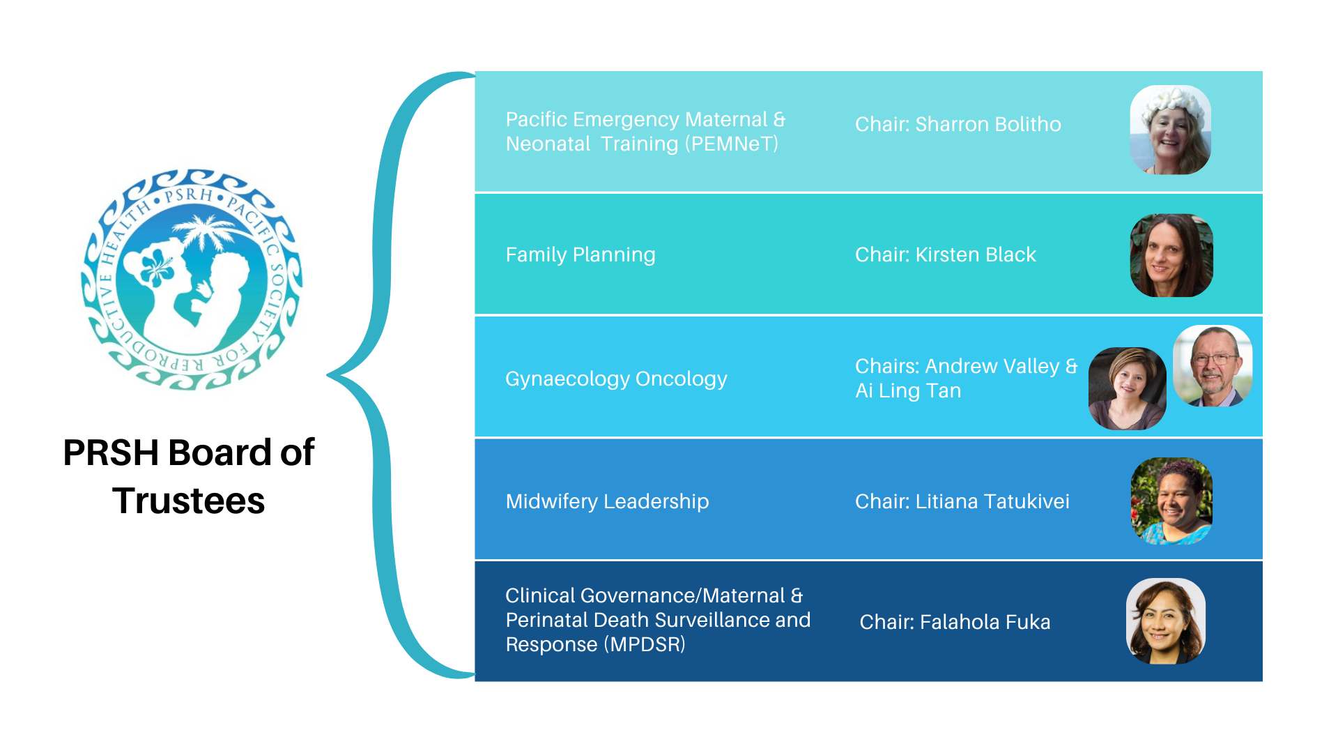 Subcommittee overview for website